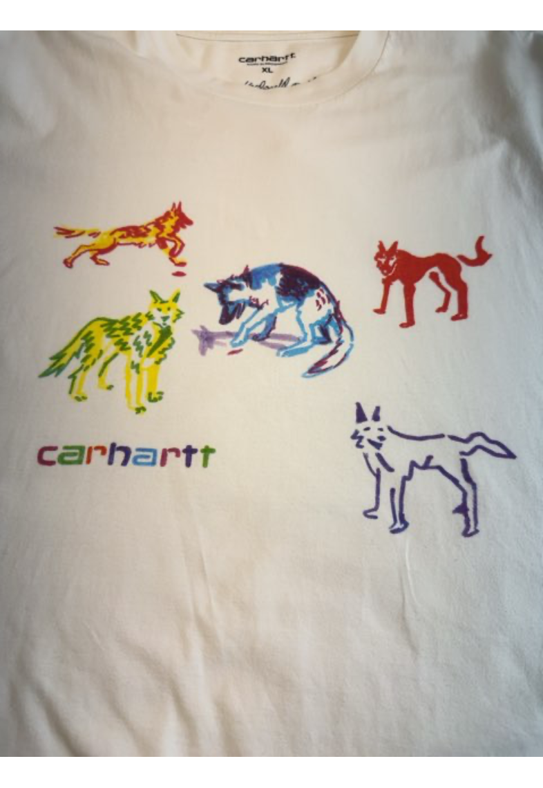 Carhartt T-shirt (B144)